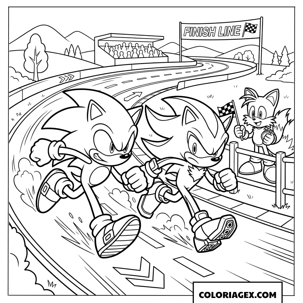 Coloriage Sonic et Shadow en course de vitesse sur la piste