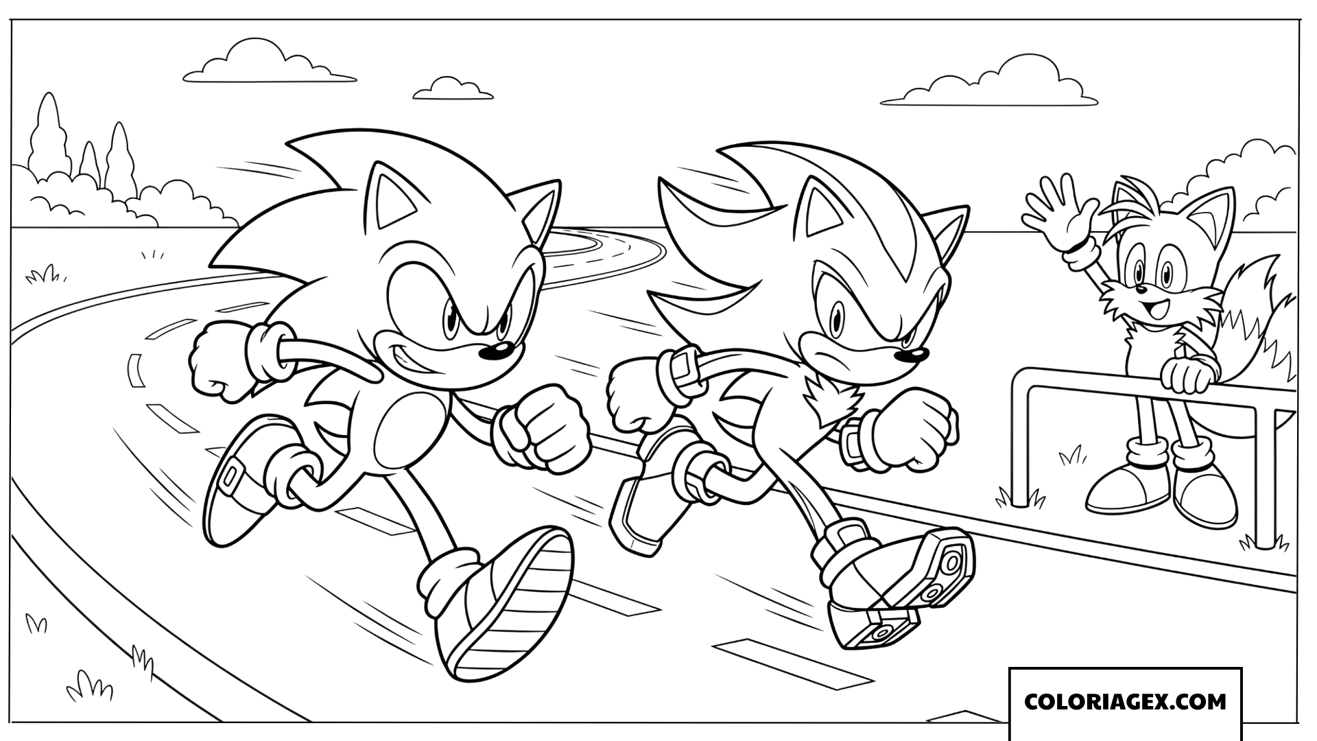 Dessin Sonic et Shadow font une course danniversaire