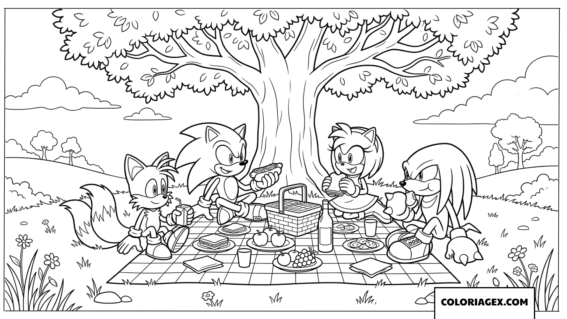 Dessin Sonic et ses amis en pique nique d ete