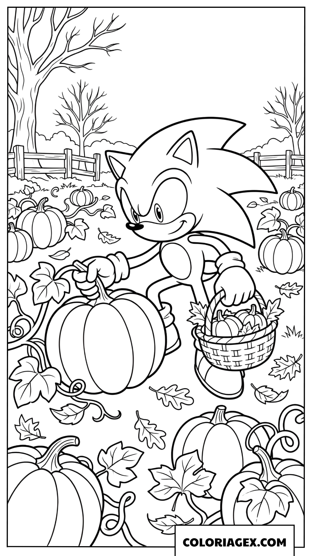 Dessin Sonic recolte des citrouilles en automne