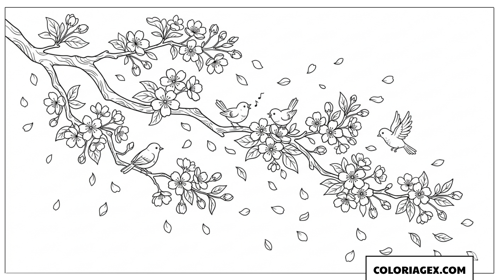 Coloriage Branche de Cerisier et Oiseaux Chanteurs