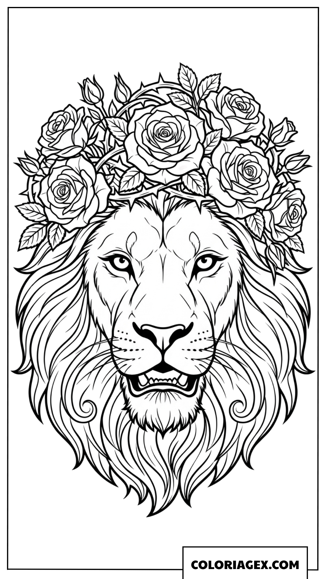 Coloriage de la tete d un lion avec vigne de roses et epines