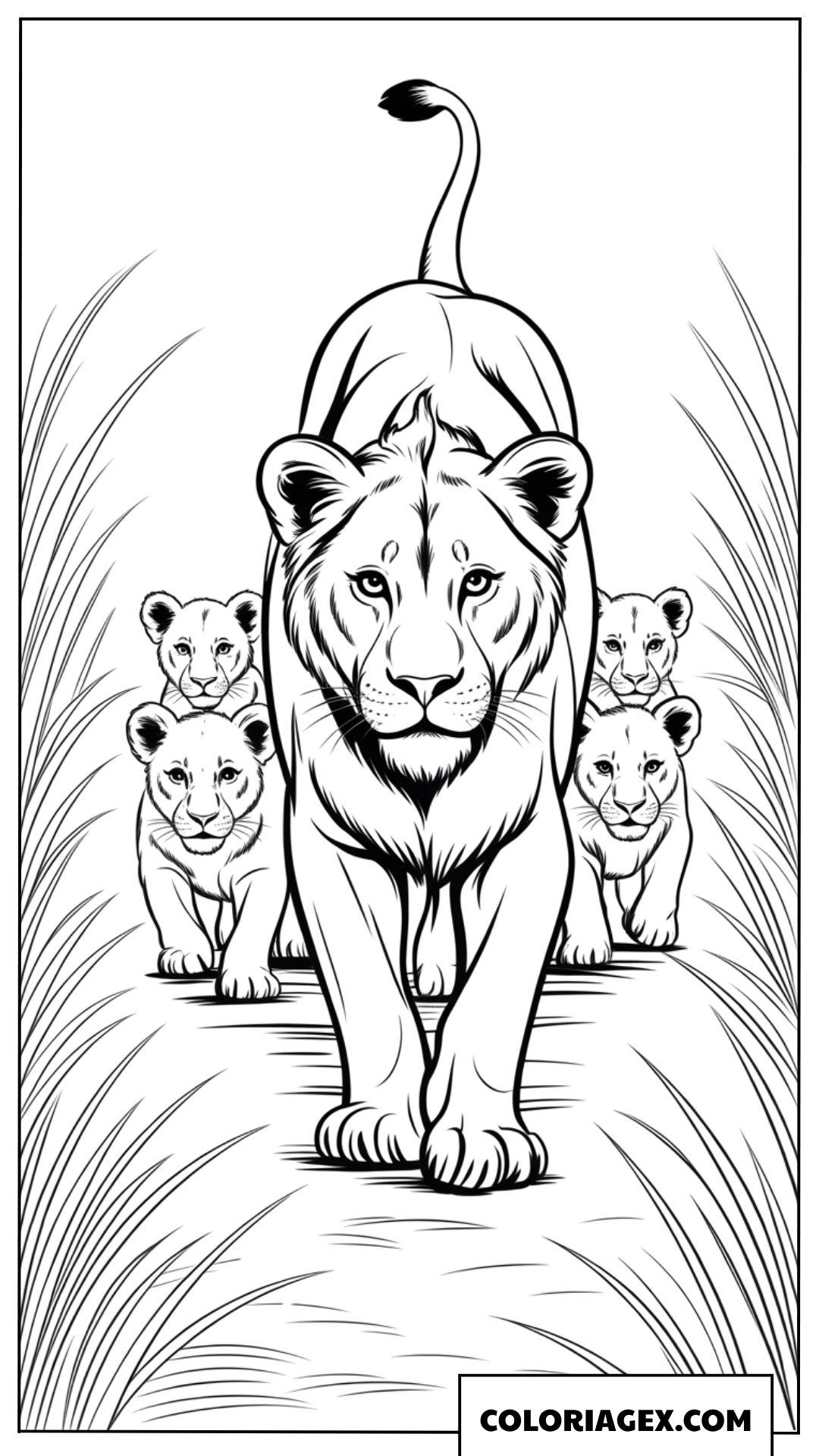 Coloriage dune maman lionne marchant avec ses quatre petits lionceaux