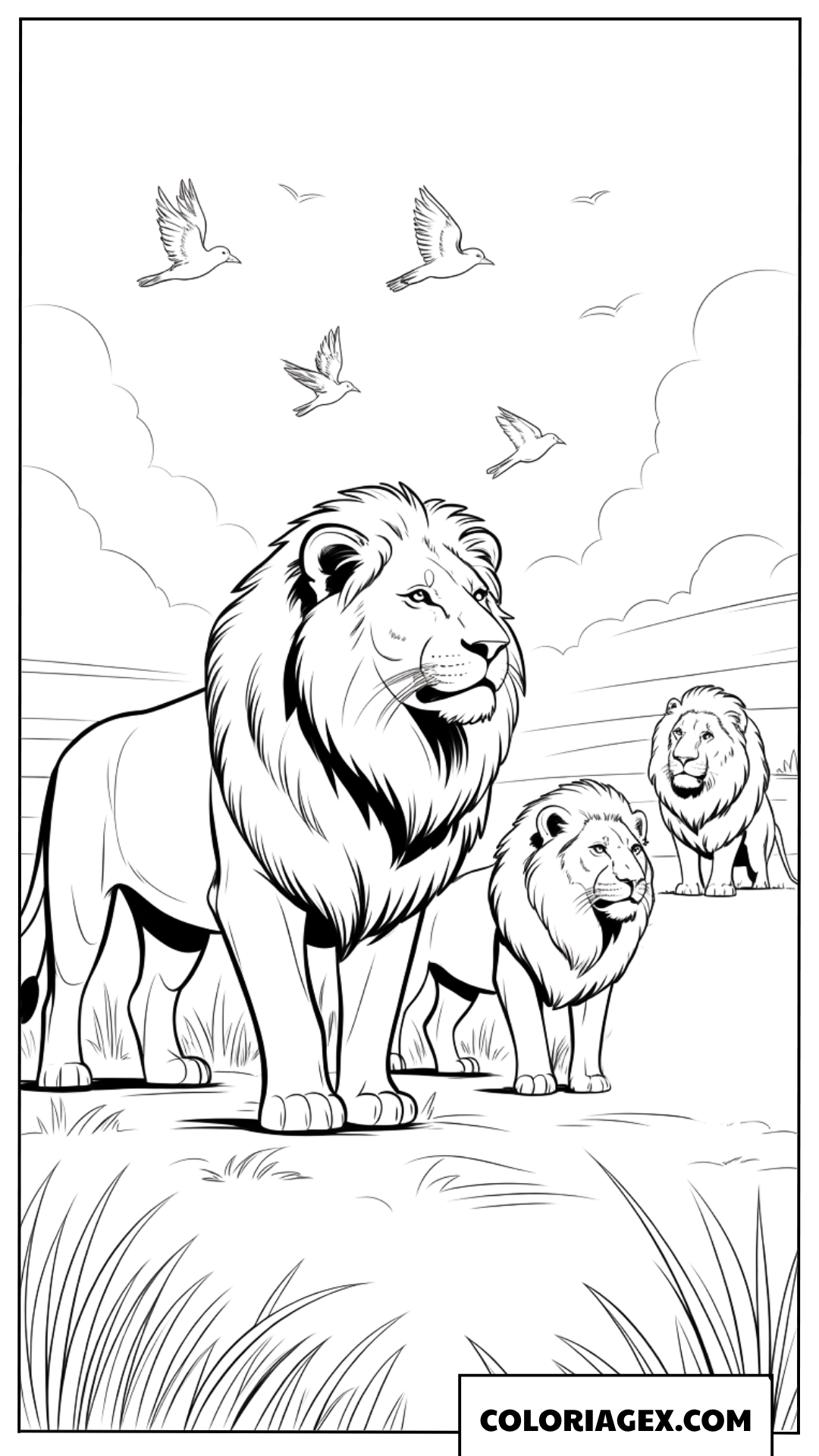 Coloriage dune troupe de lions majestueux dans la savane