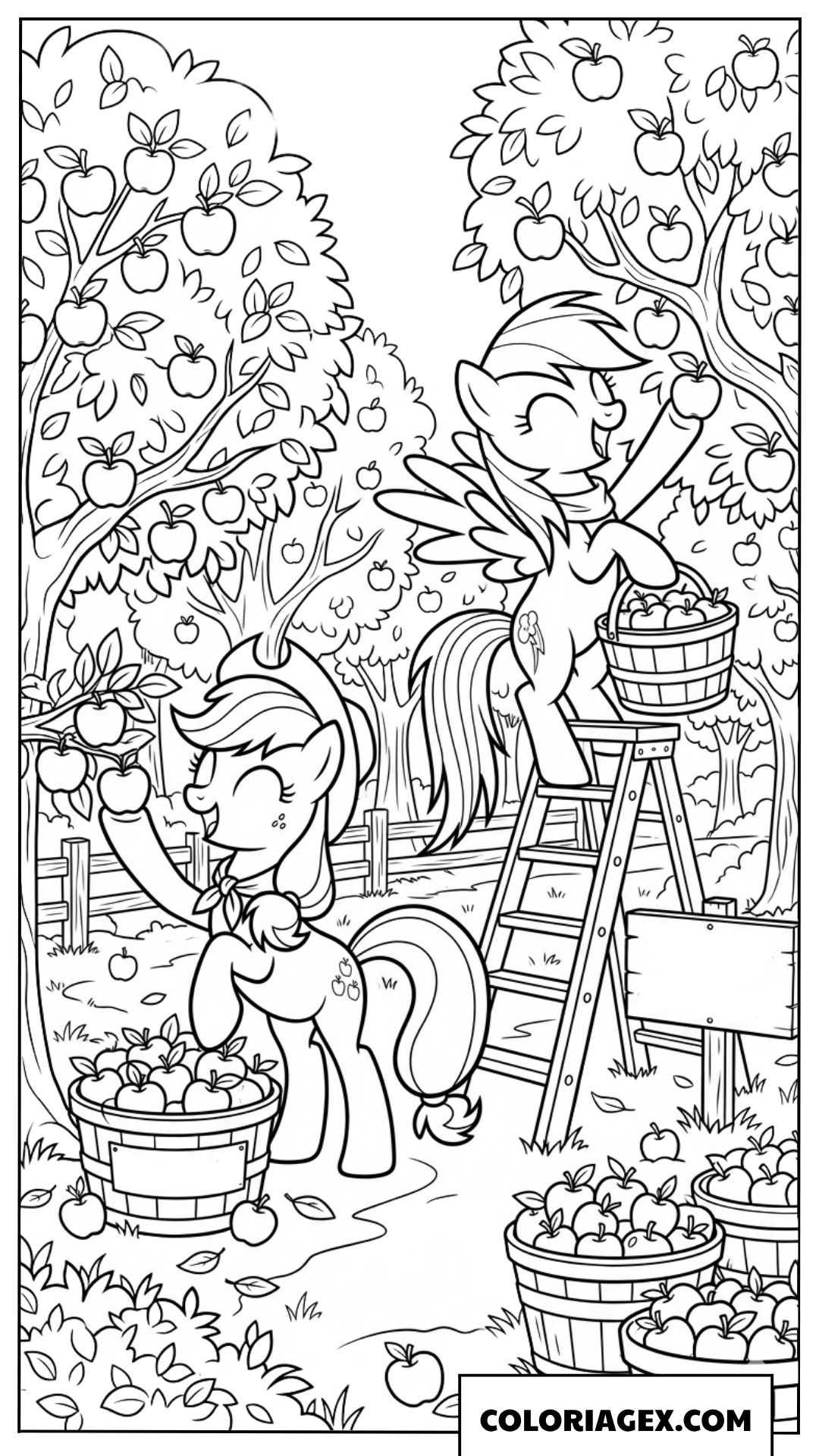 Coloriage la récolte des pommes