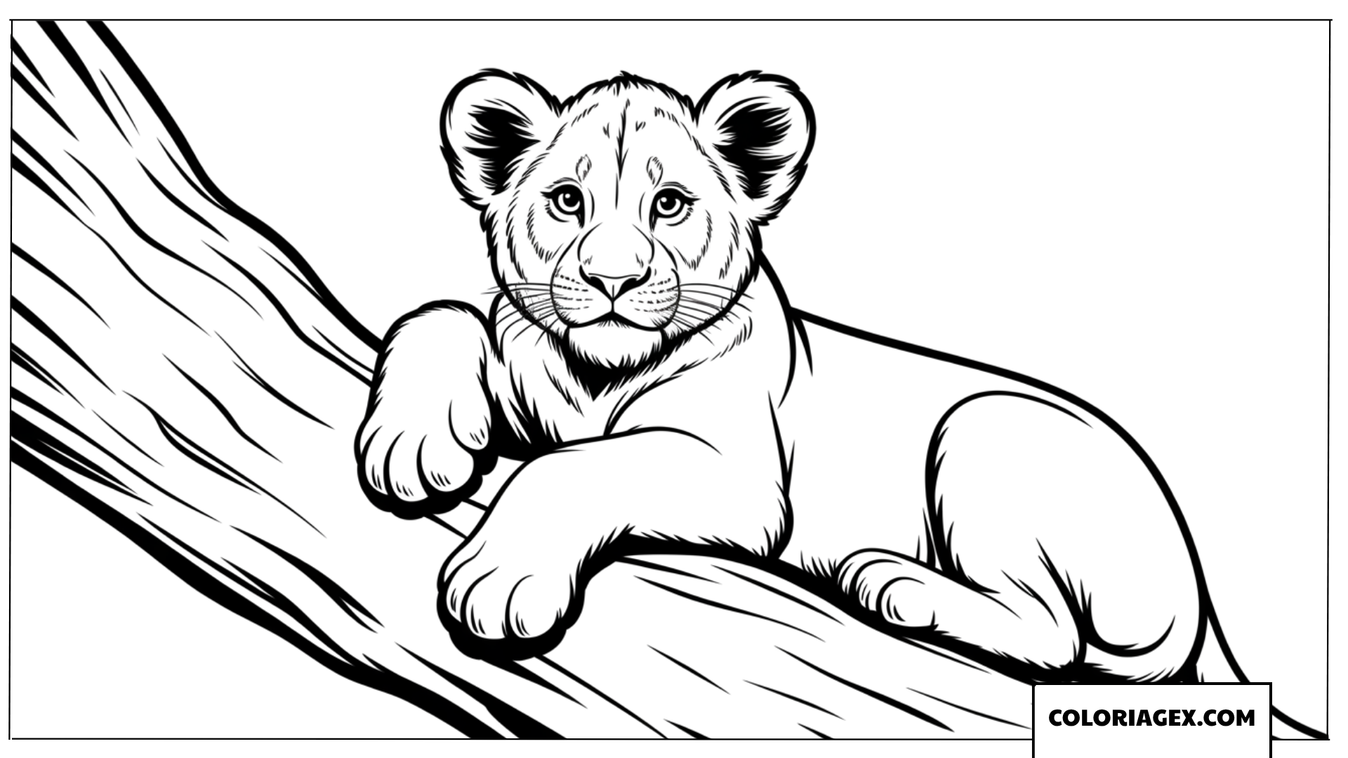Coloriage lionceau realiste couche sur une branche darbre
