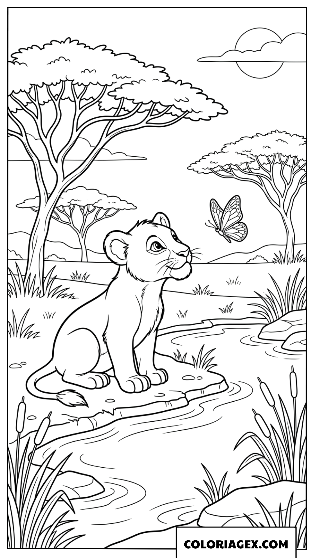 Coloriage lionceau rigolo qui regarde un papillon pres de leau
