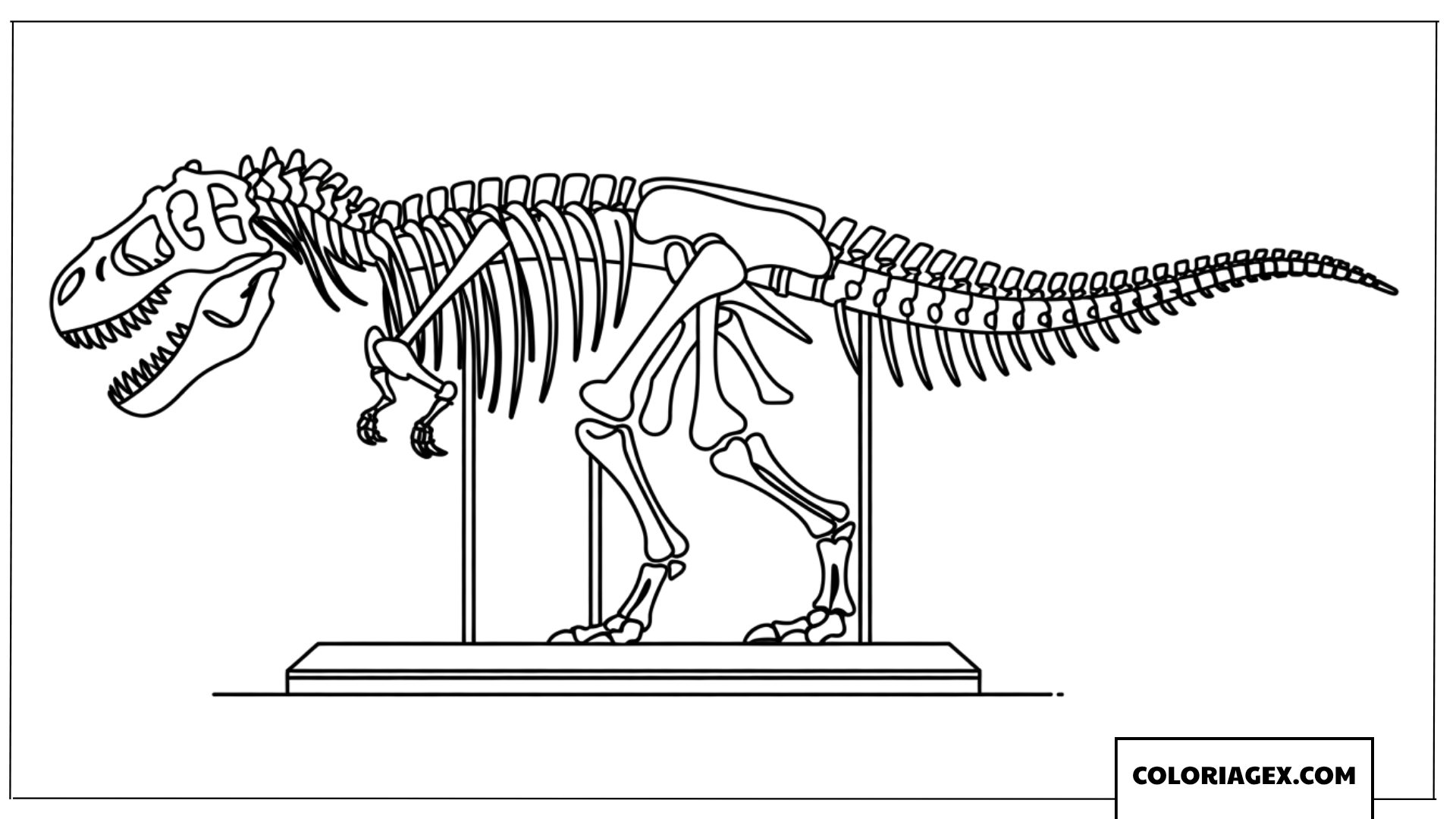 Coloriage squelette de Tyrannosaure Rex sur un socle de musee