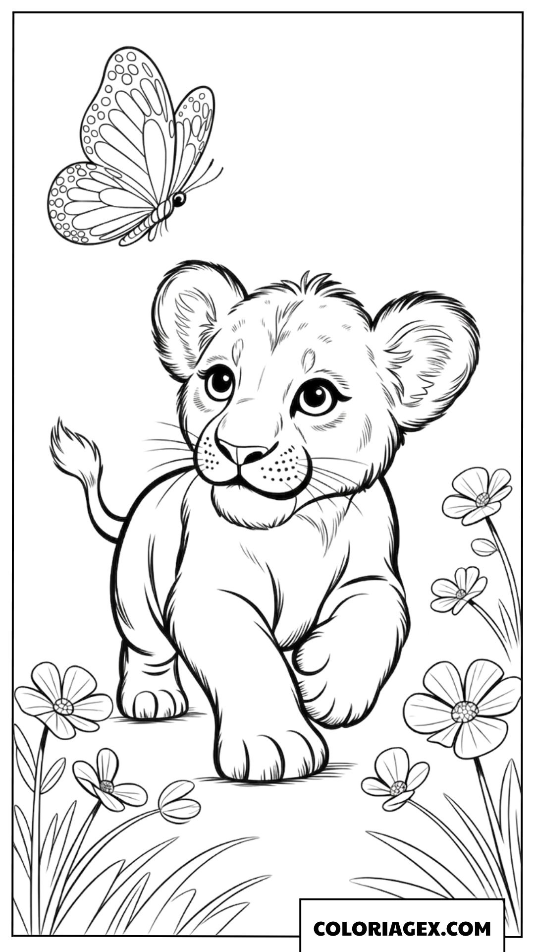 Dessin d un jeune lionceau jouant avec un papillon pour coloriage