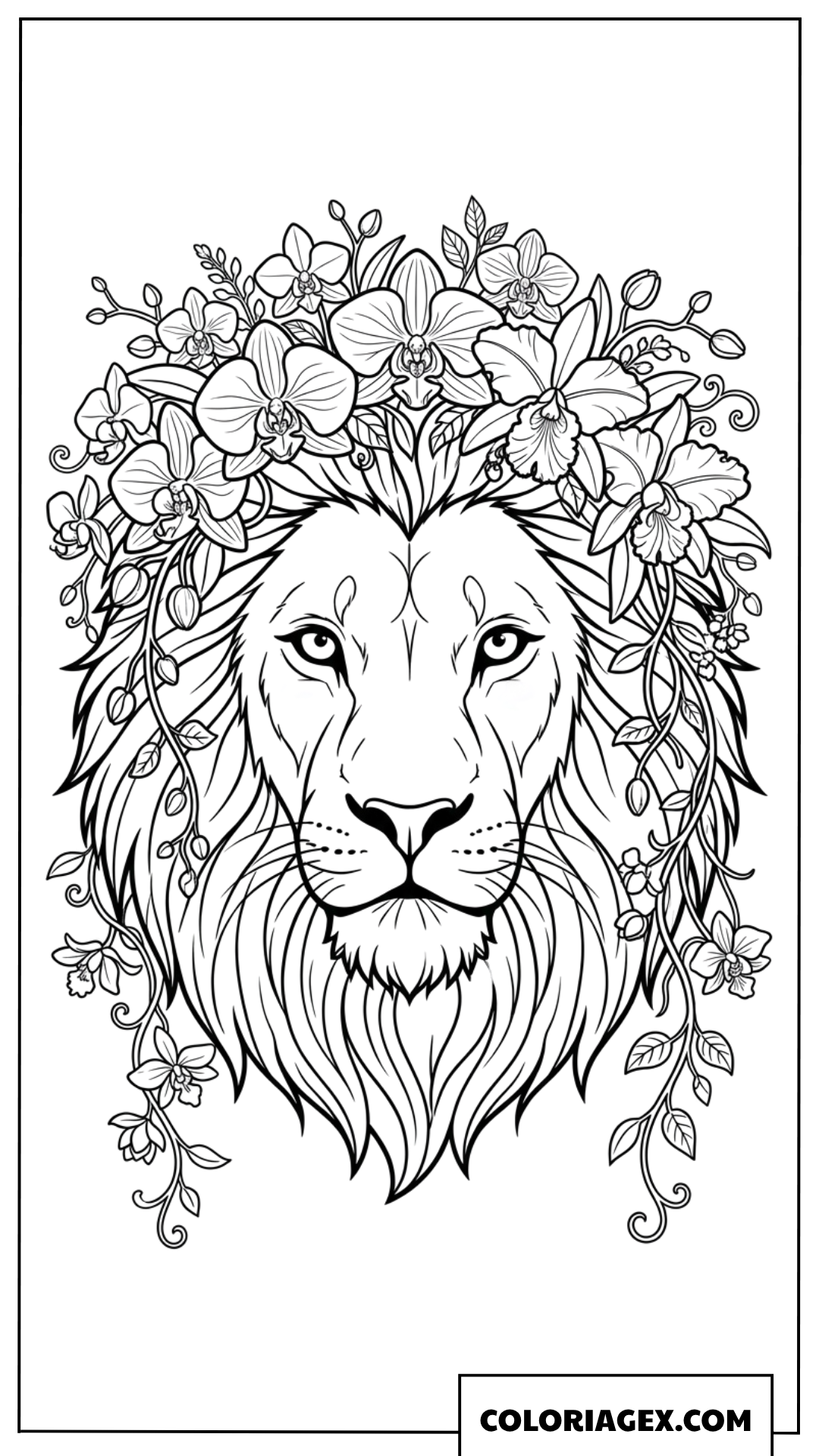 Dessin d un lion majestueux avec une couronne d orchidees a colorier