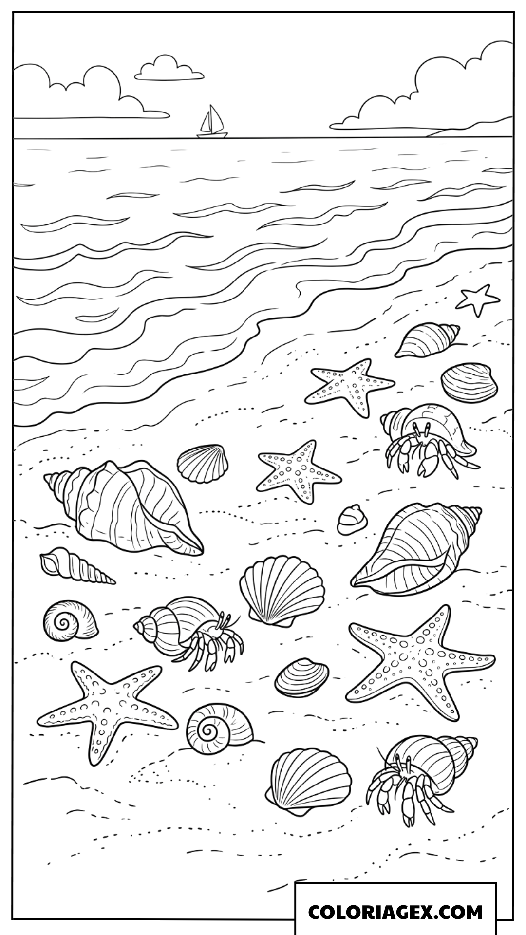 Dessin de coquillages d'étoiles de mer et de bernard-l'ermite sur le sable
