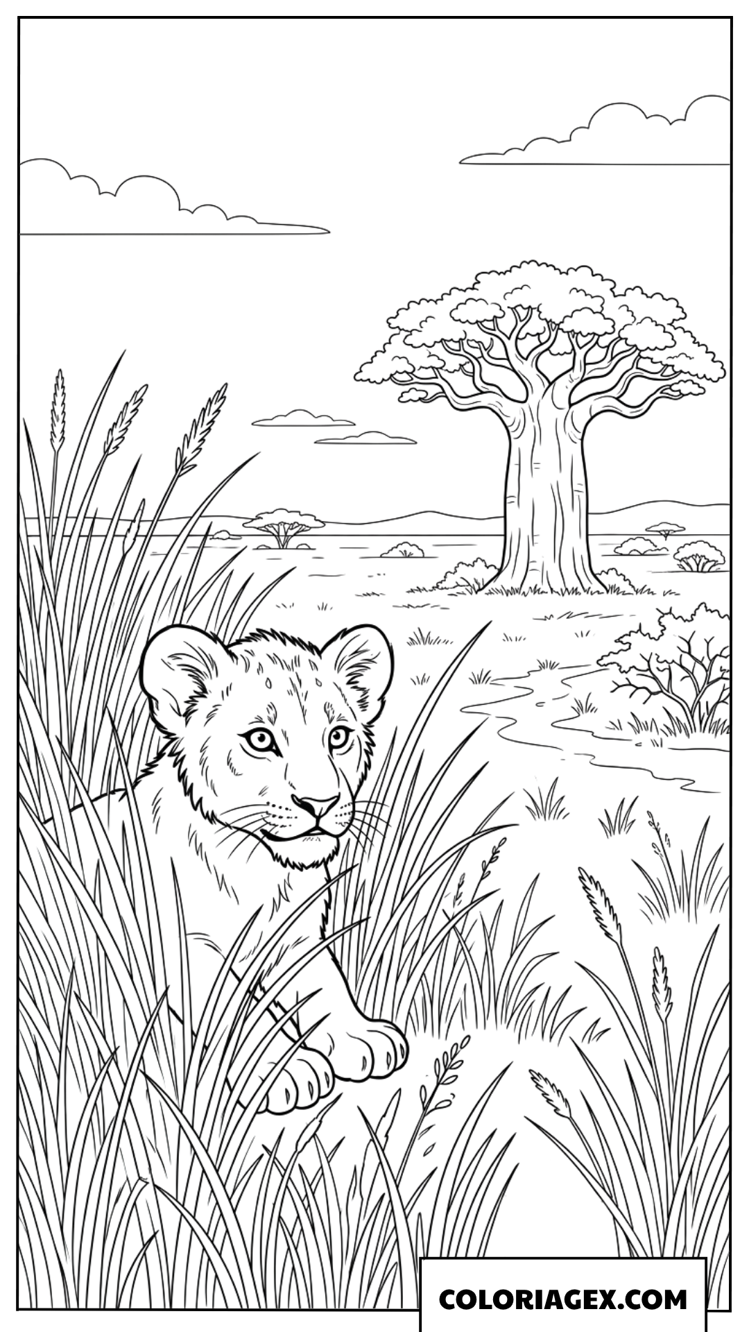Dessin de lionceau mignon cache derriere les herbes de la savane