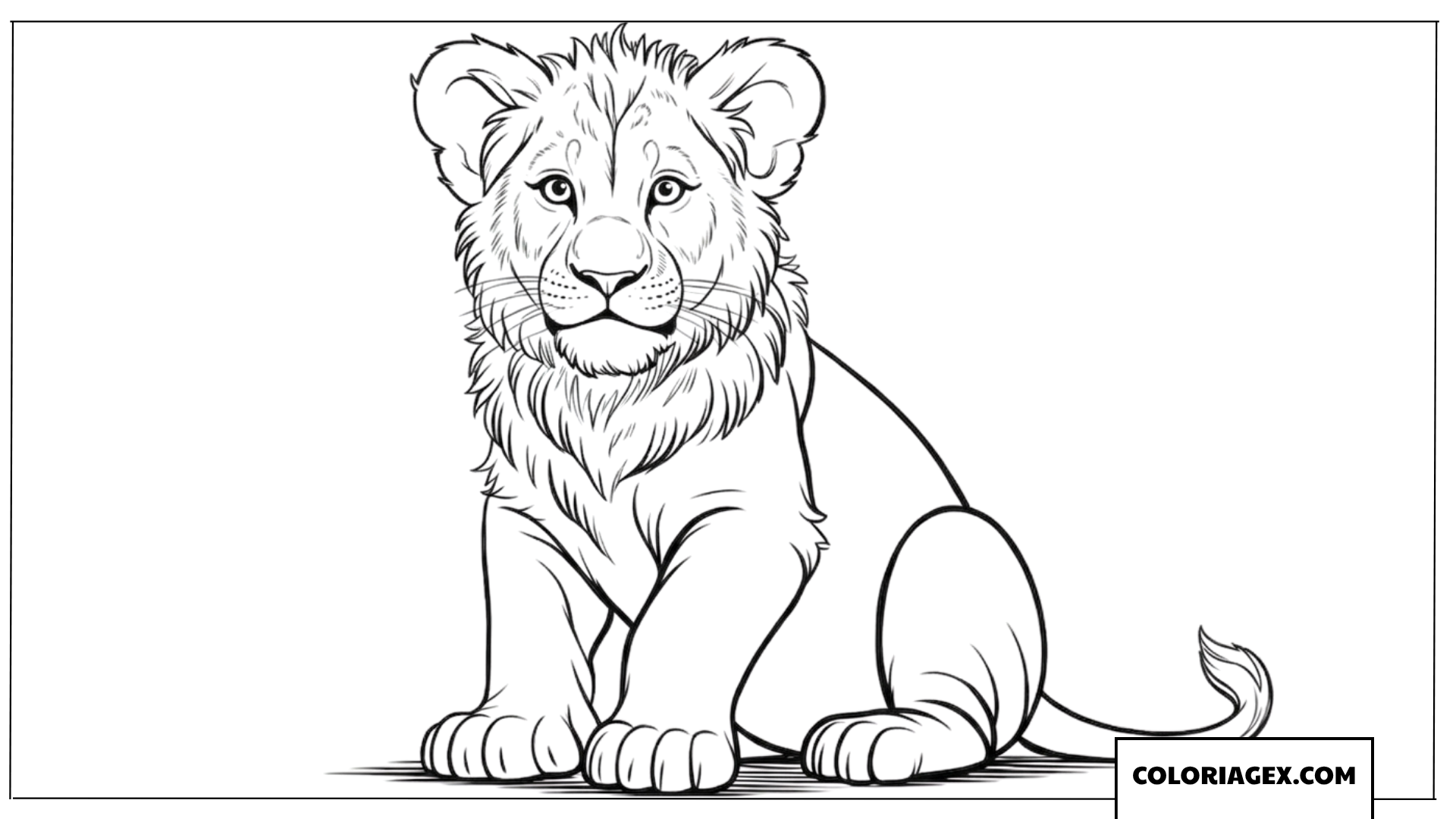 Dessin de lionceau realiste assis avec une criniere naissante