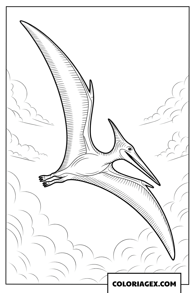 Dessin de pterodactyle aux grandes ailes deployees dans les nuages a colorier