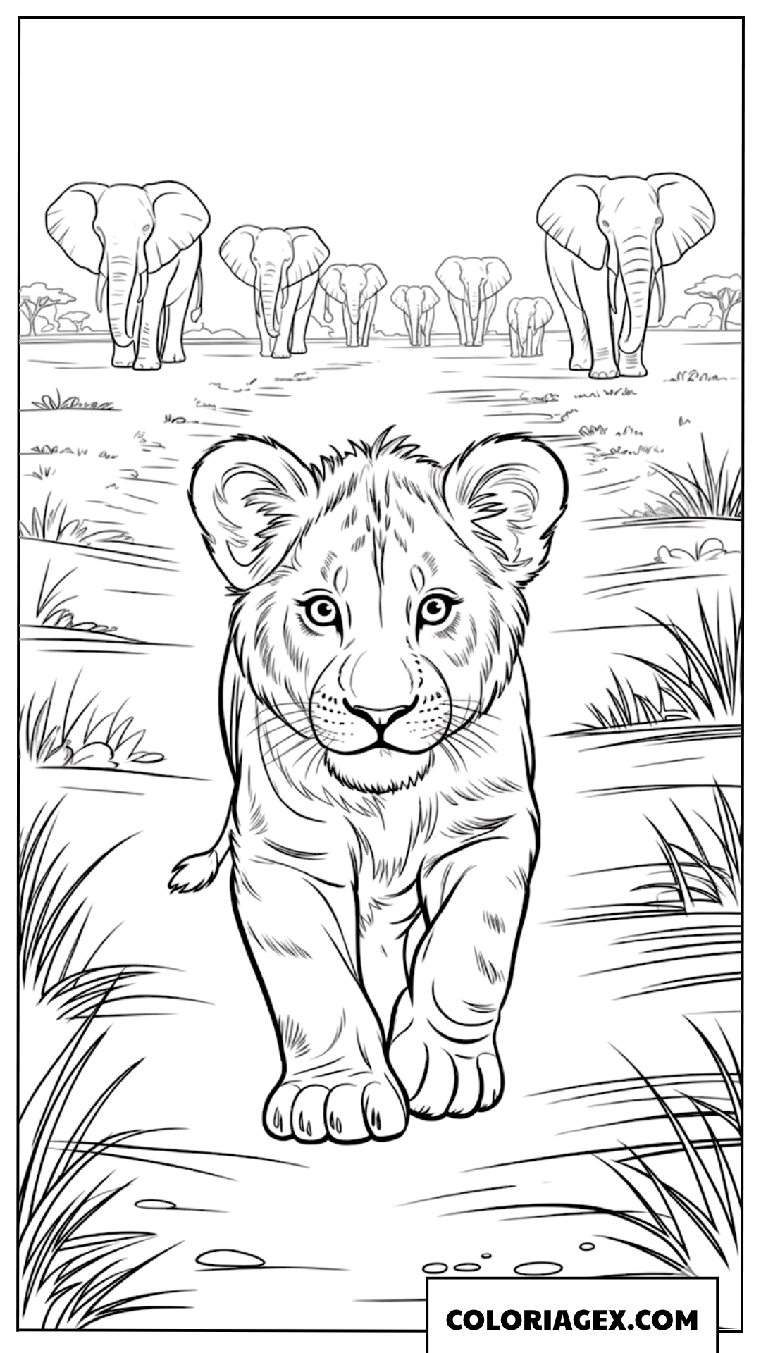 Dessin dun lionceau courageux marchant devant un troupeau delephants