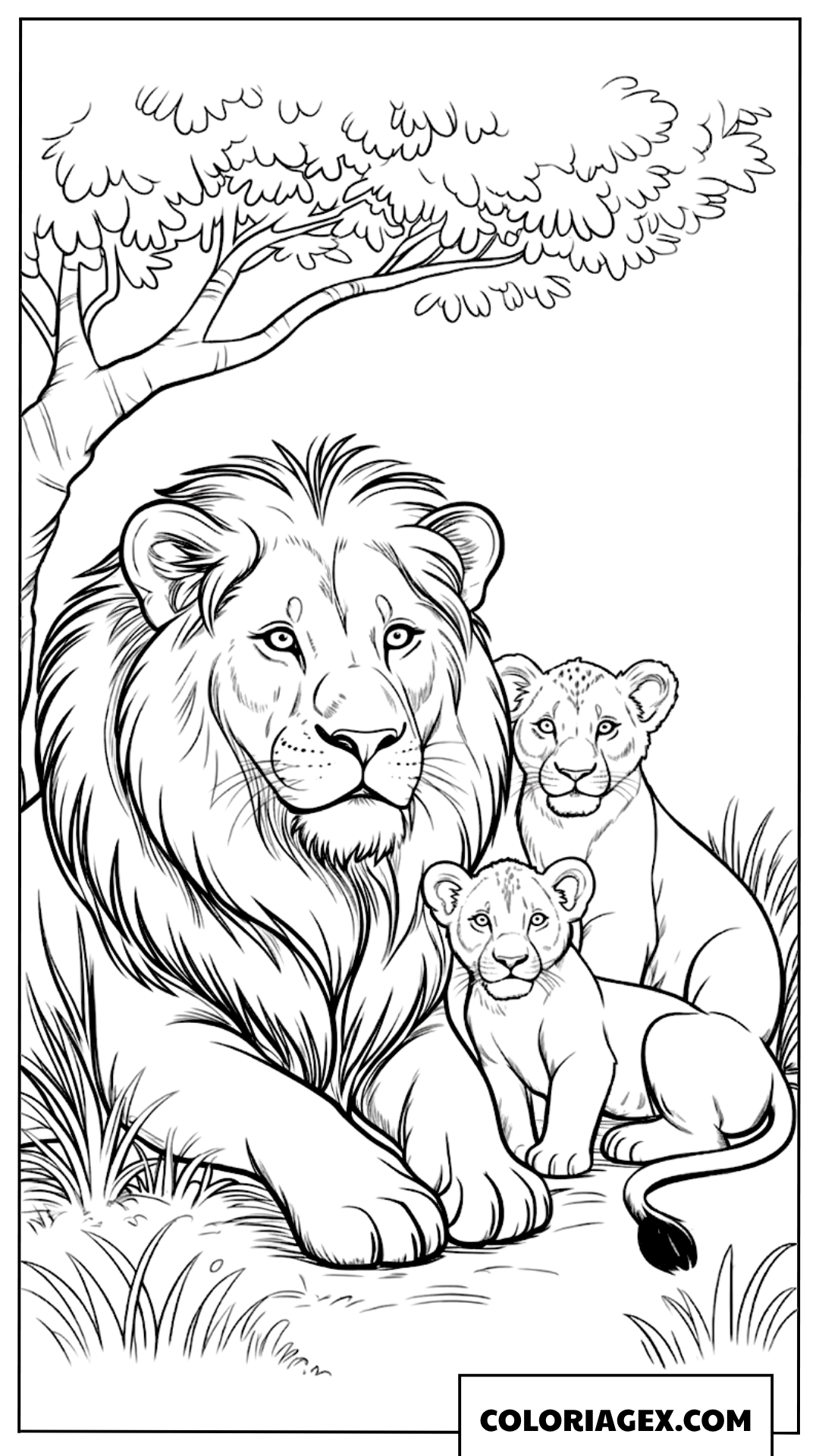 Dessin dune famille de lions au repos sous un grand arbre a colorier