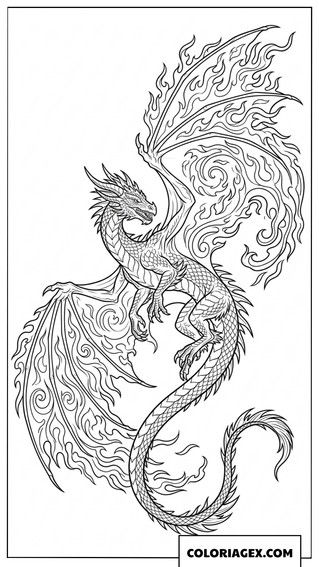 Page de coloriage silhouette de dragon de feu majestueux