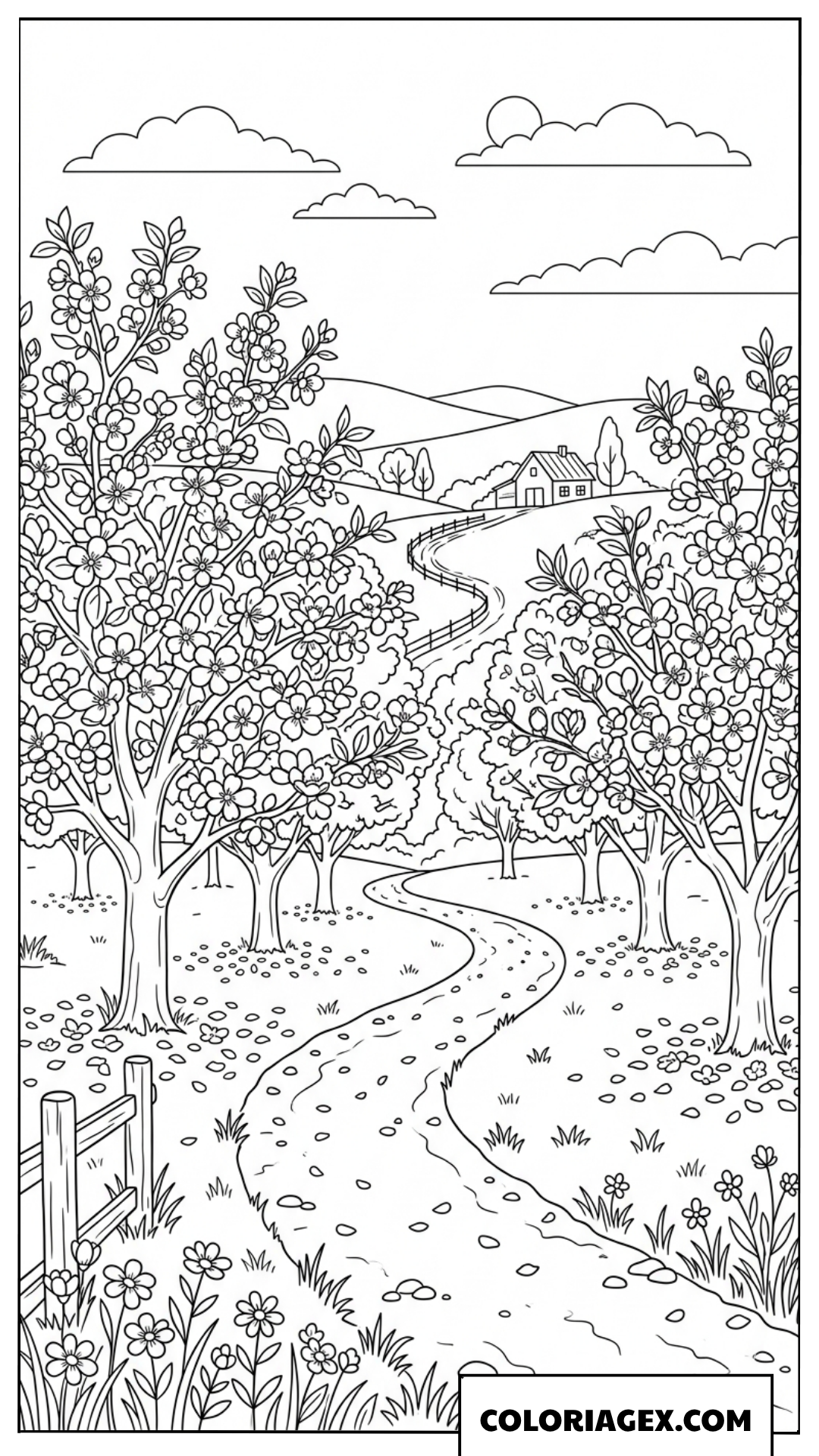 Coloriage Chemin sous les arbres en fleurs