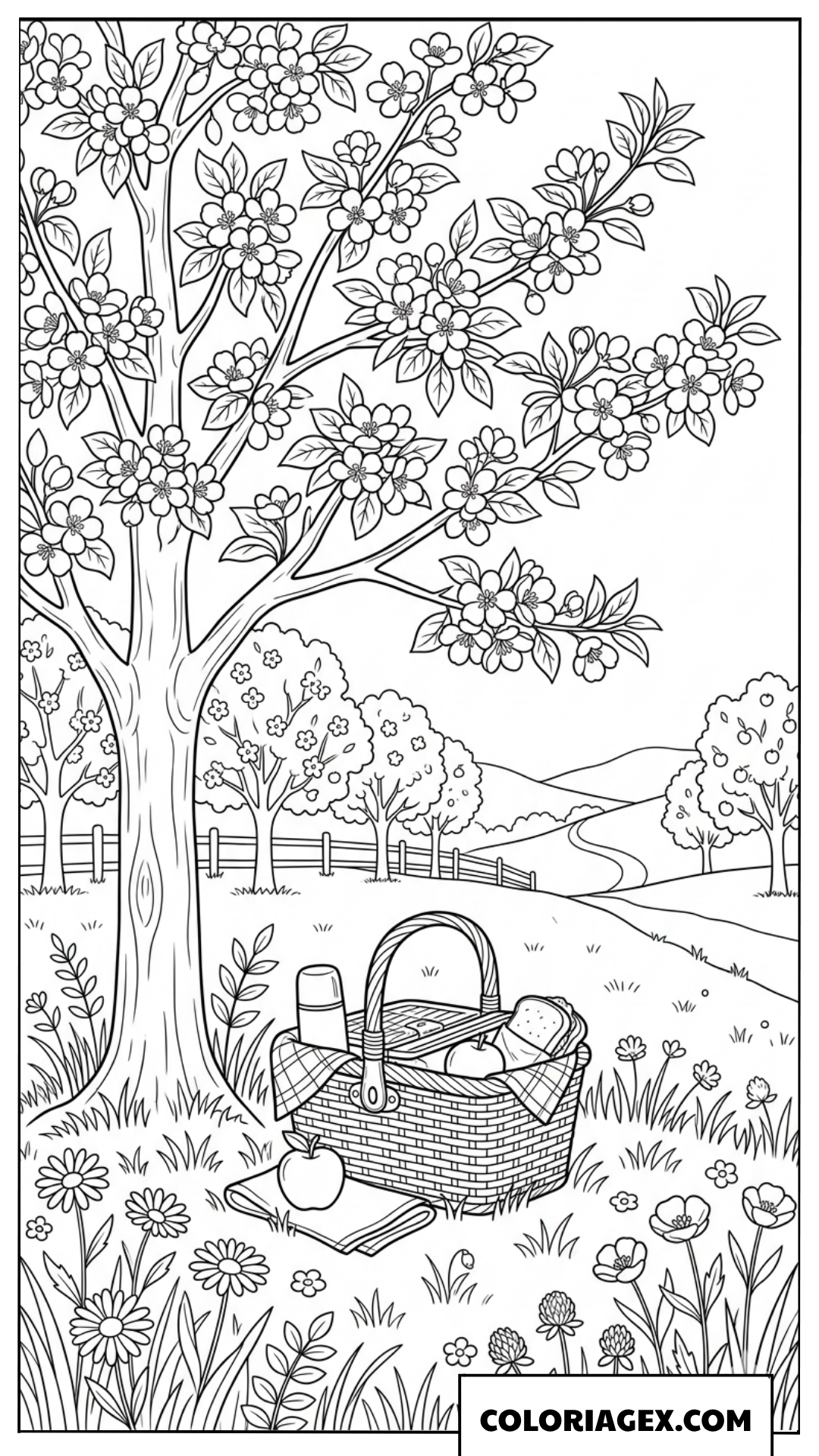 Coloriage Coin pique-nique sous les arbres
