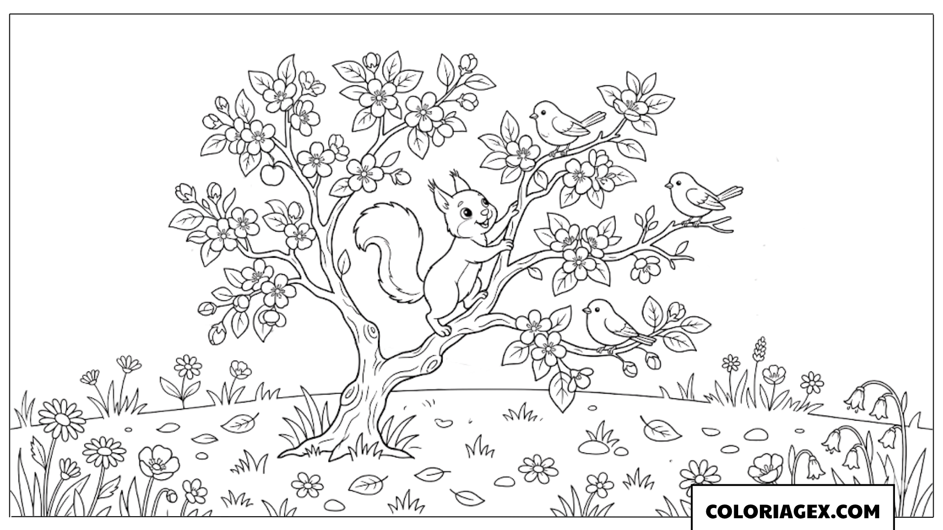 Coloriage Petit écureuil dans l’arbre