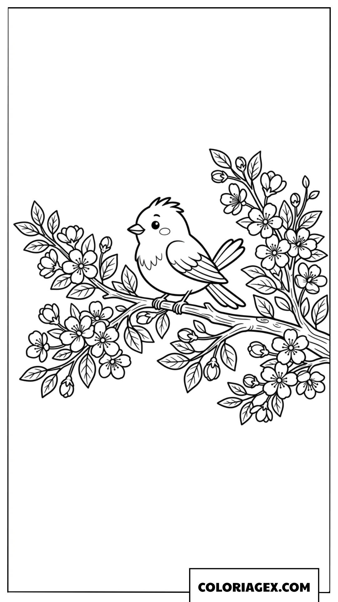 Coloriage Petit oiseau sur une branche