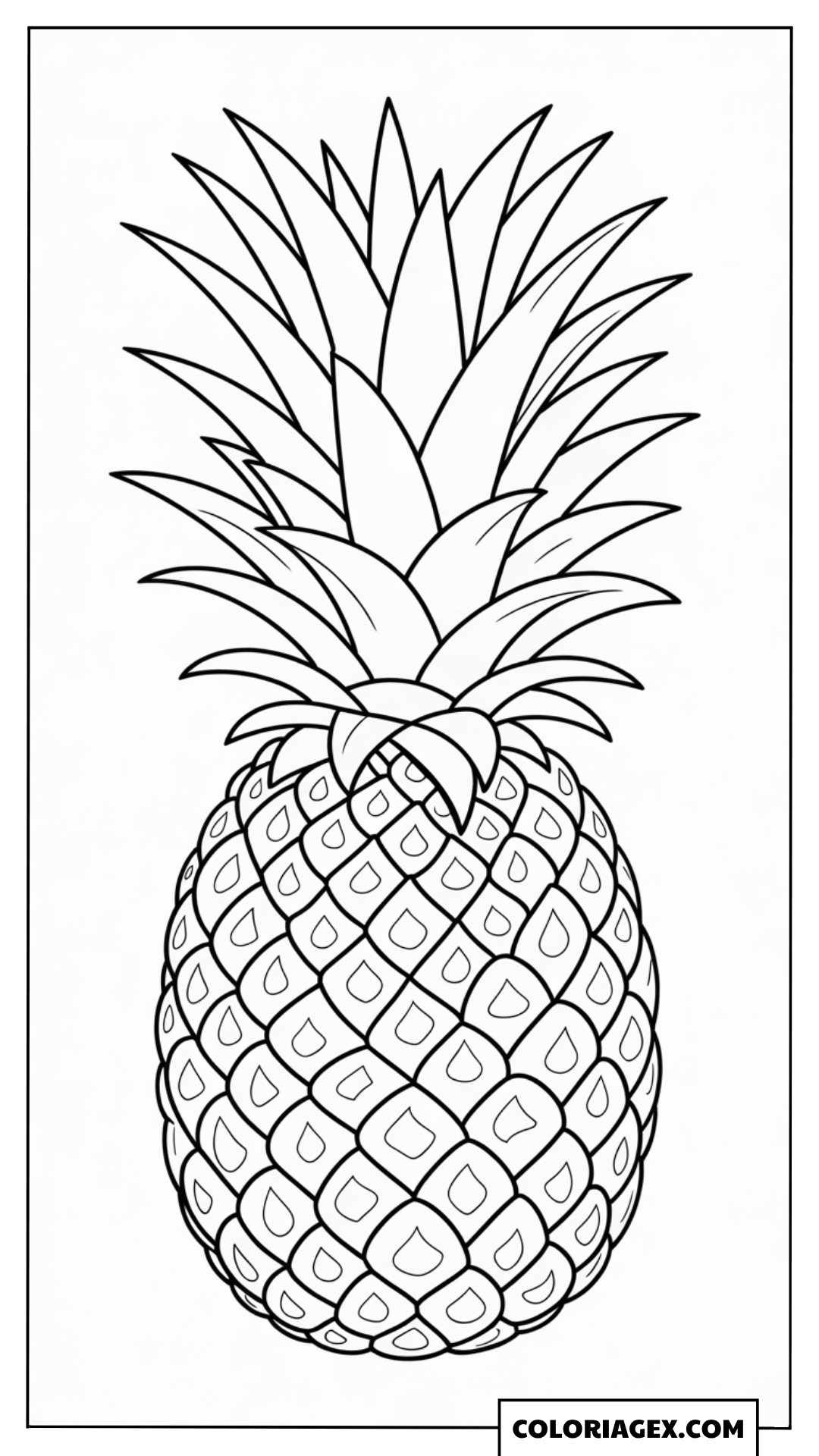 Ananas tropical coloriage