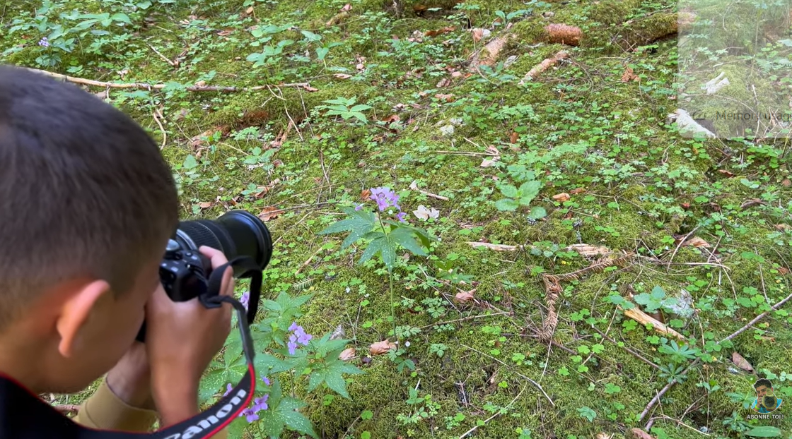 Apprendre à composer une photo avec mon fils (1)