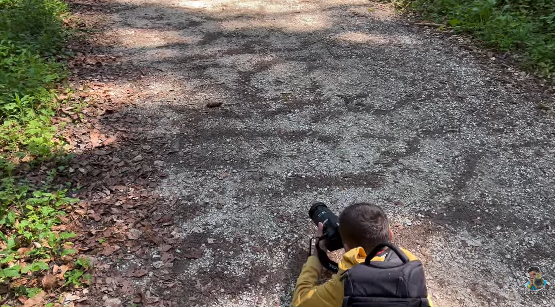 Apprendre à composer une photo avec mon fils (3)