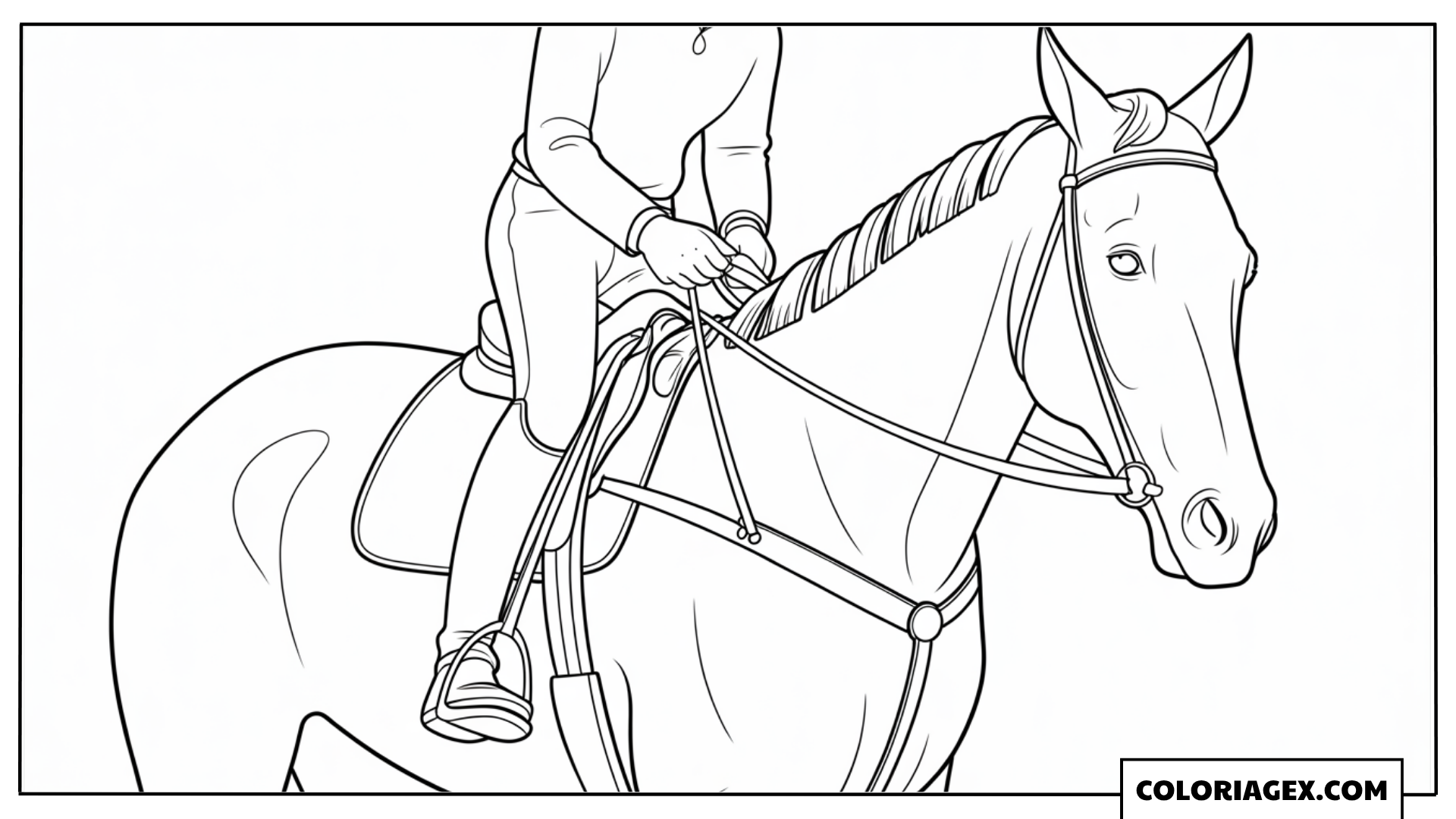 Cavalier réaliste sur son cheval à colorier