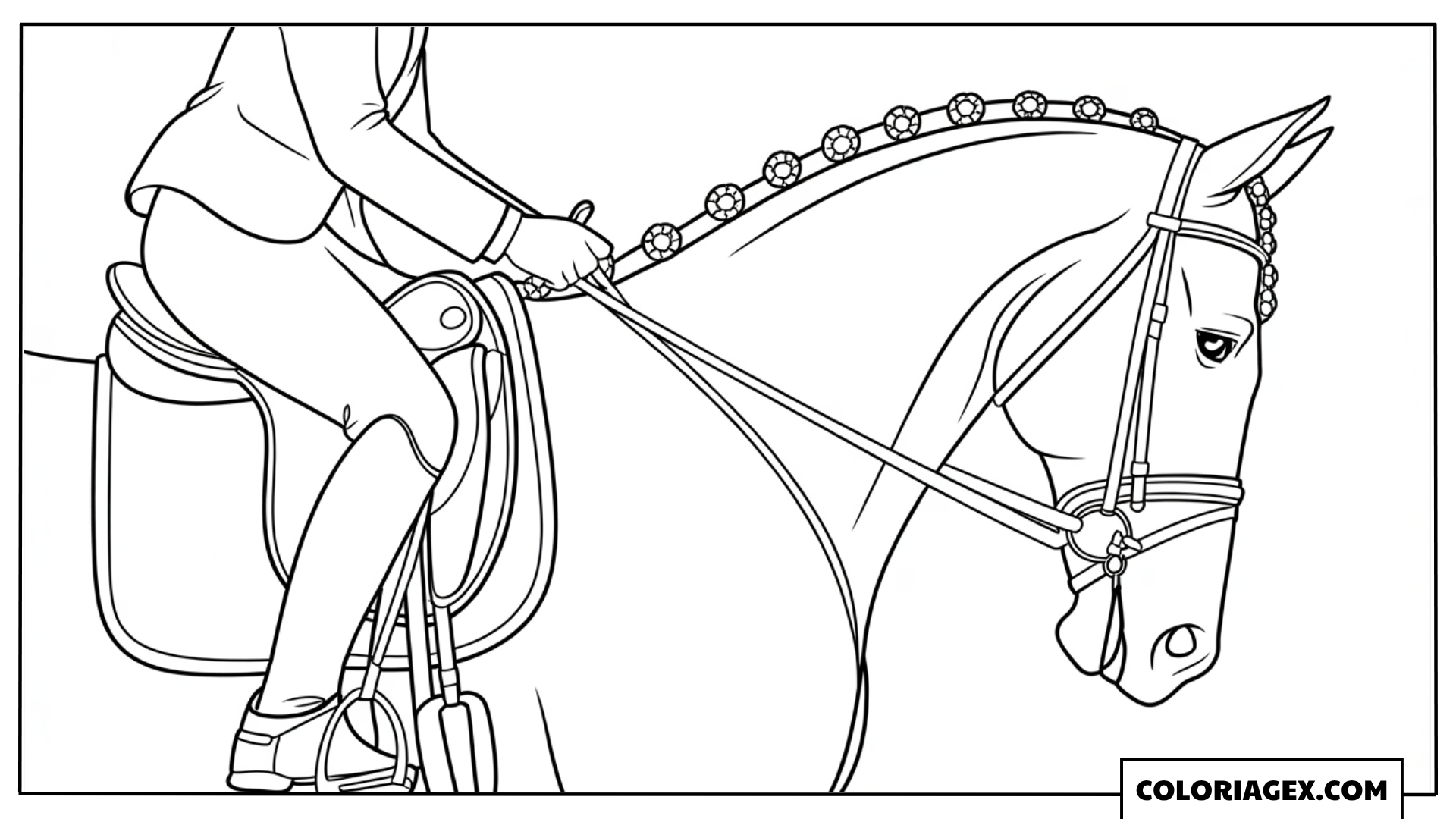 Cavalière en selle réaliste à colorier