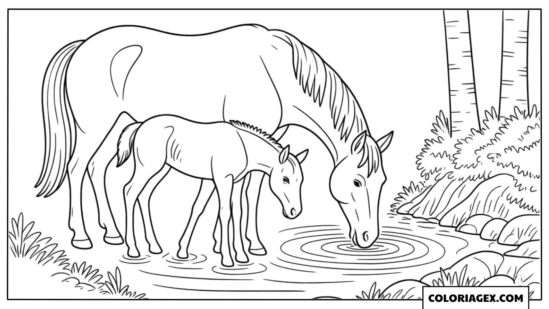 Cheval et poulain près de la clôture à colorier