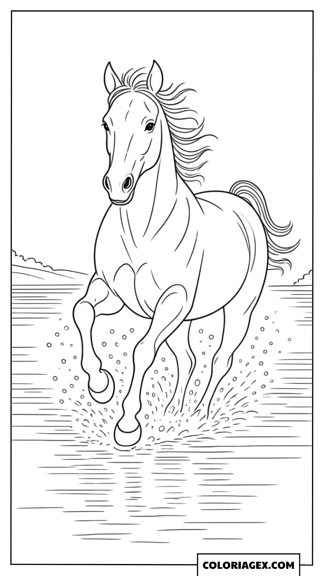 Cheval galopant dans l’eau à colorier