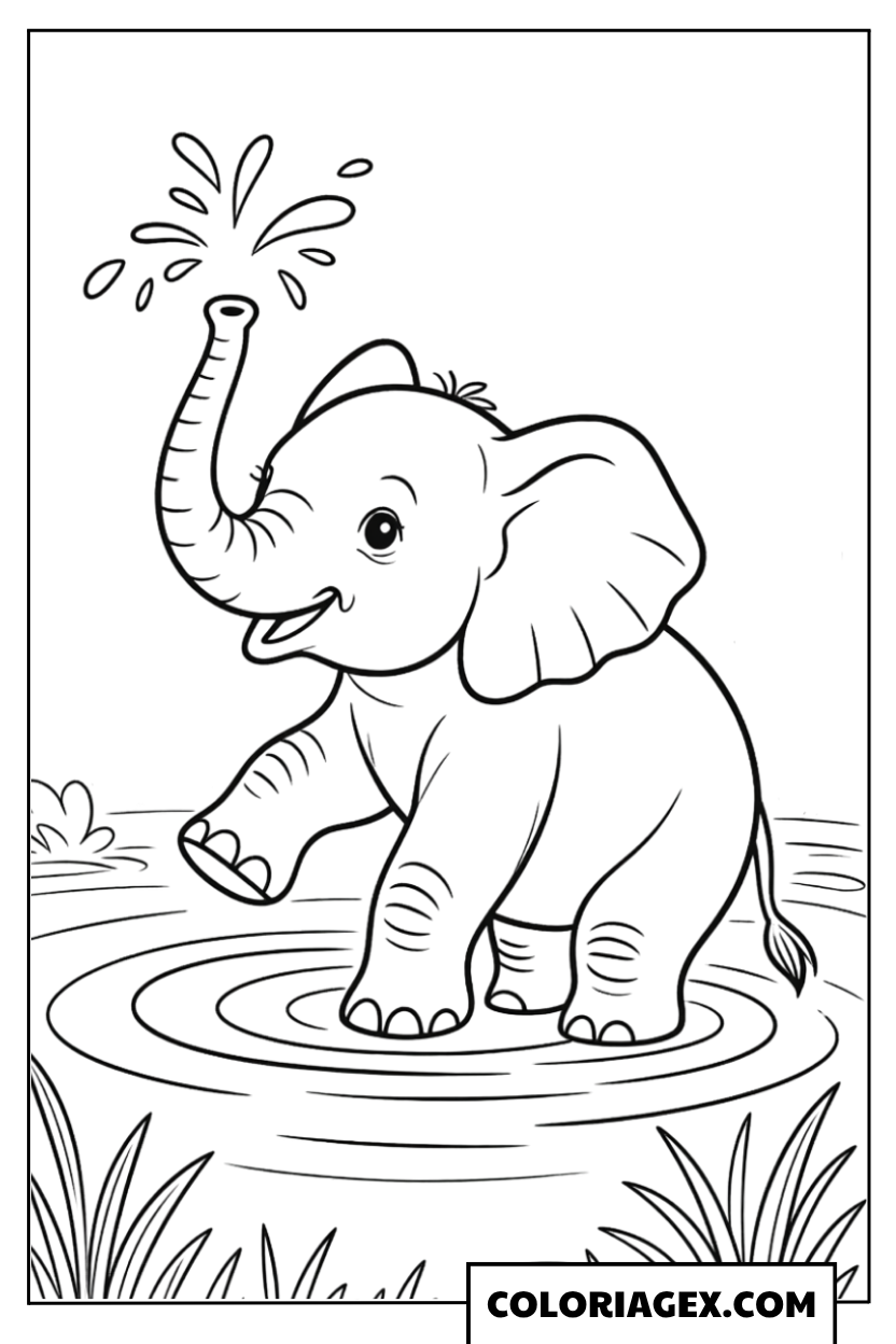 Coloriage Bébé éléphant dans eau