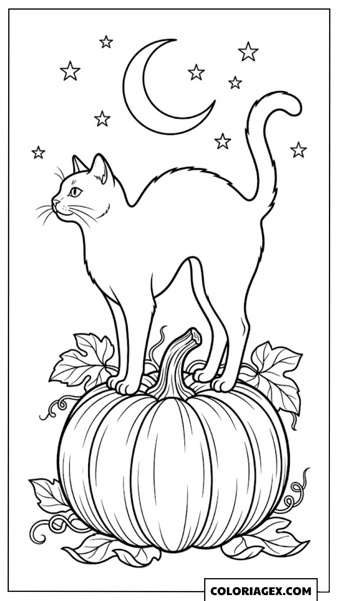 Coloriage Chat sur Citrouille
