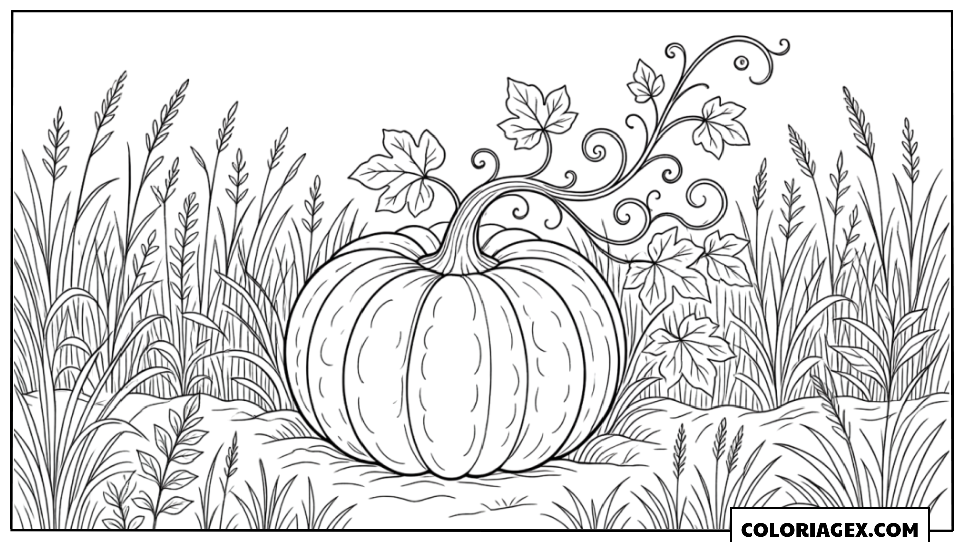 Coloriage Citrouille dans le Champ
