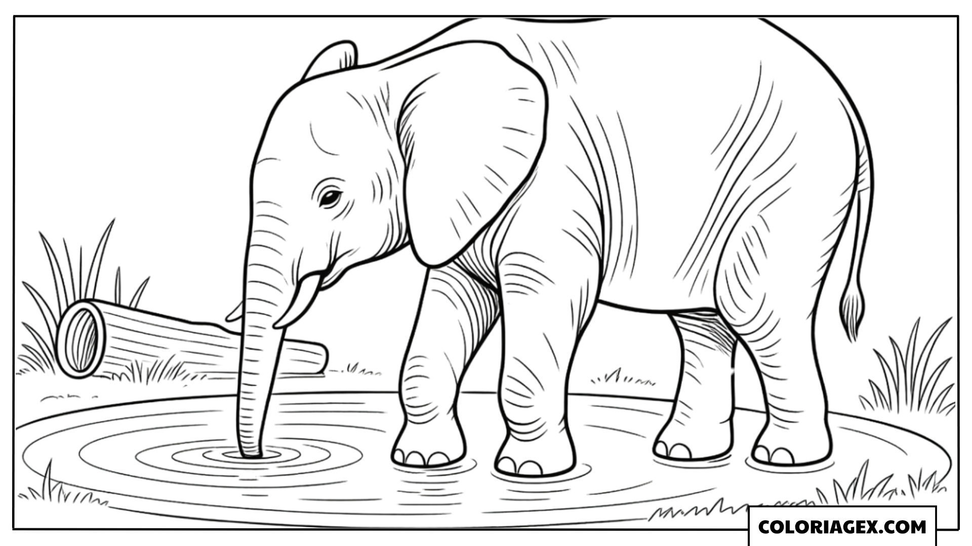 Coloriage Éléphant buvant eau
