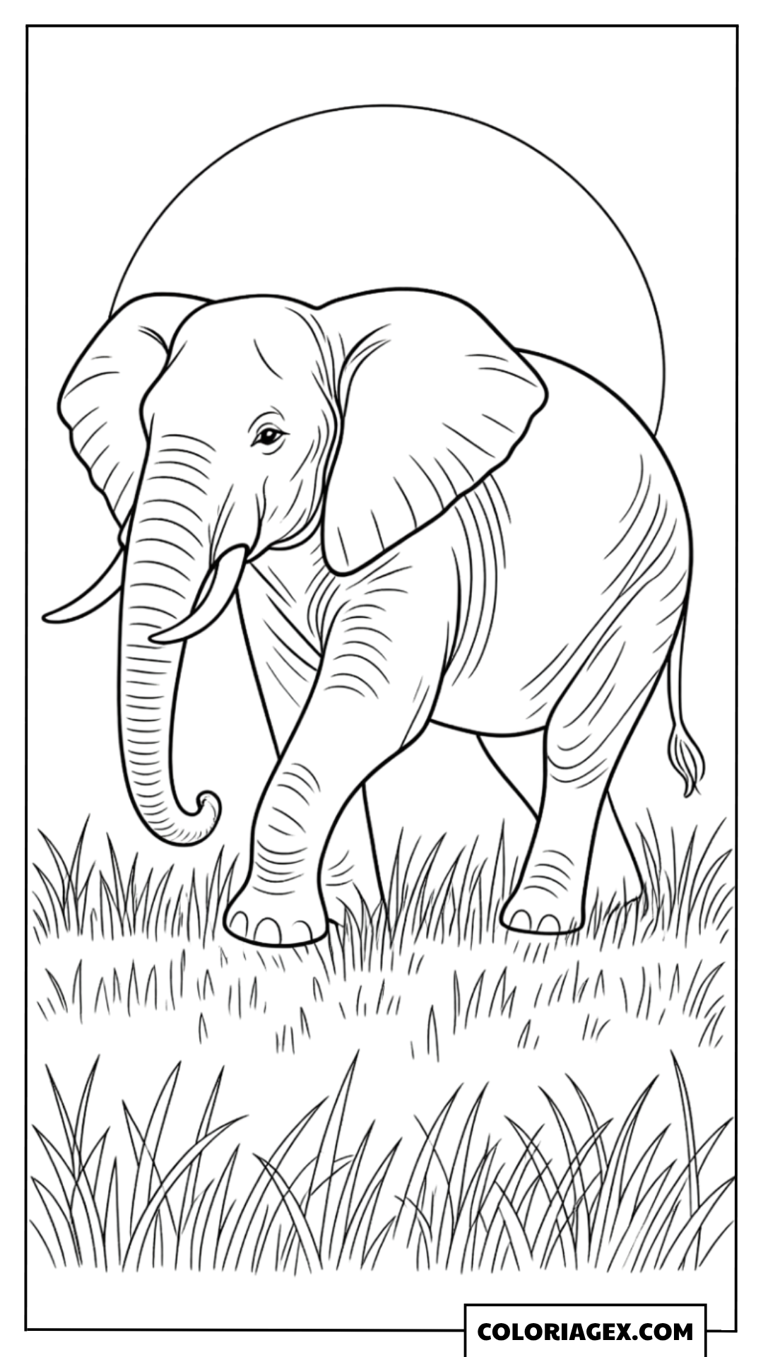 Coloriage Éléphant dans l’Herbe