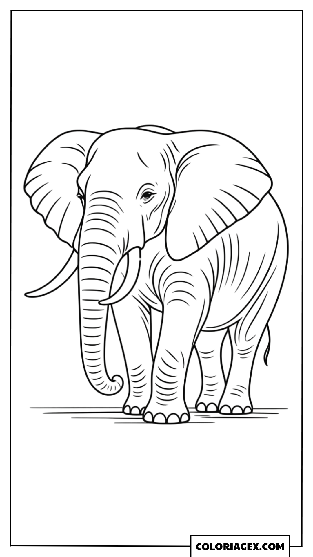 Coloriage Éléphant dans la Plaine