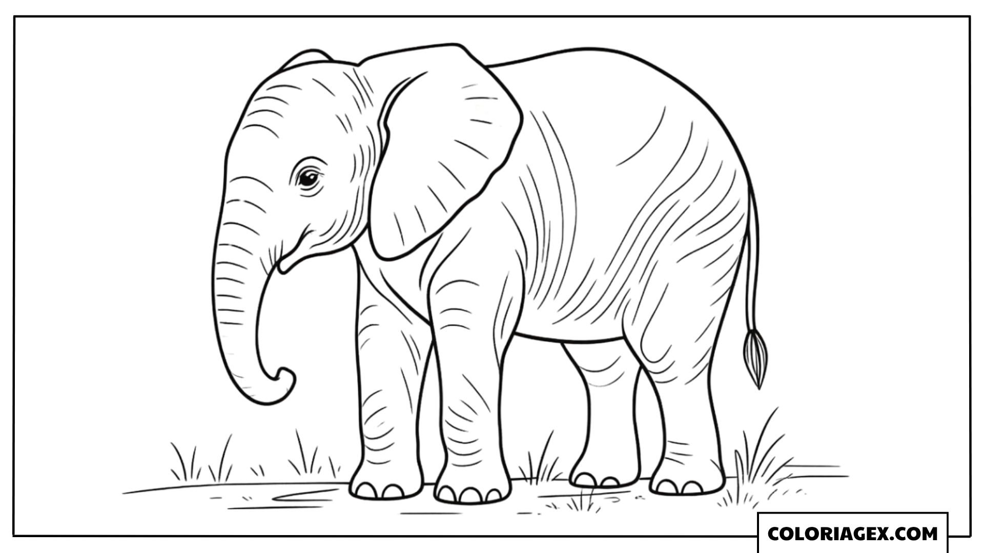 Coloriage Éléphant debout herbe