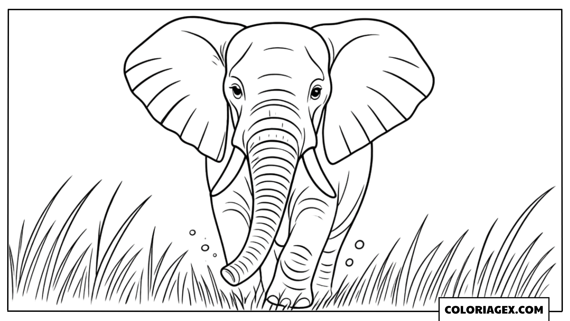 Coloriage Éléphant savane herbe