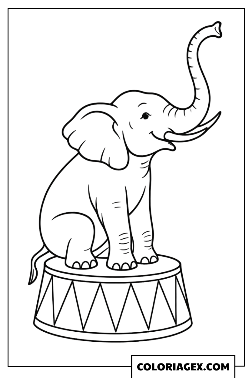 Coloriage Éléphant sur tambour