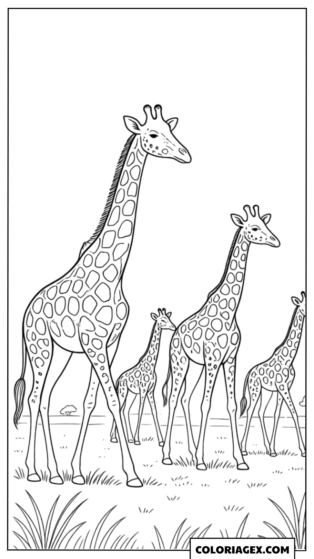 Coloriage Famille de girafes dans la savane