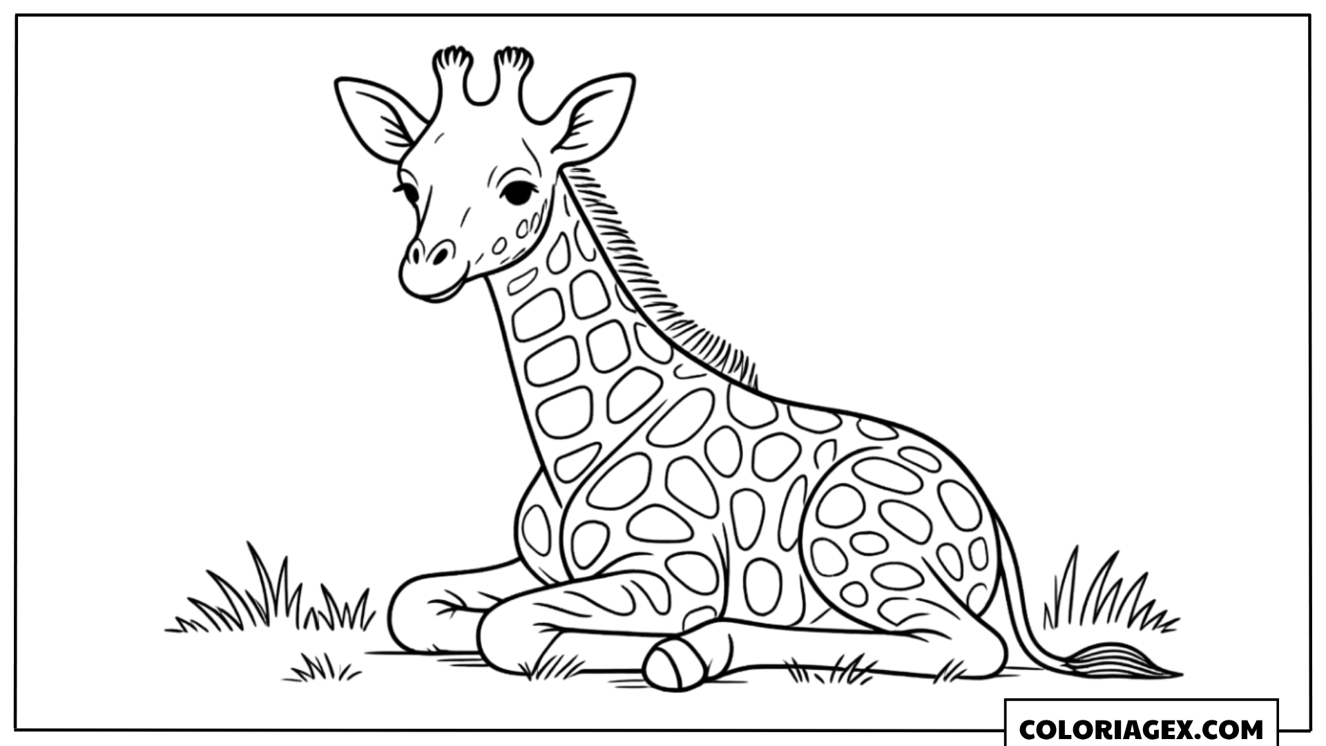 Coloriage Girafe assise réaliste