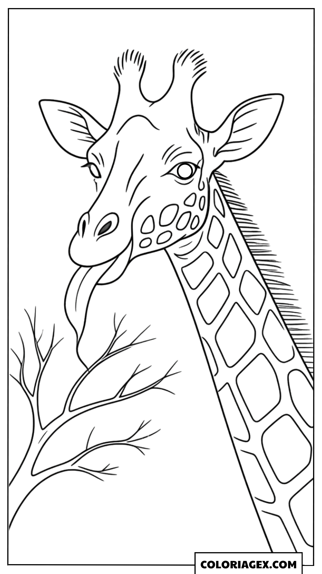 Coloriage Girafe avec branche d’arbre