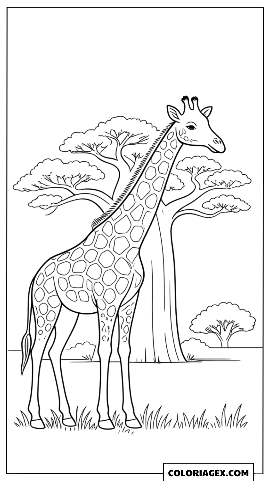 Coloriage Girafe buvant de l’eau