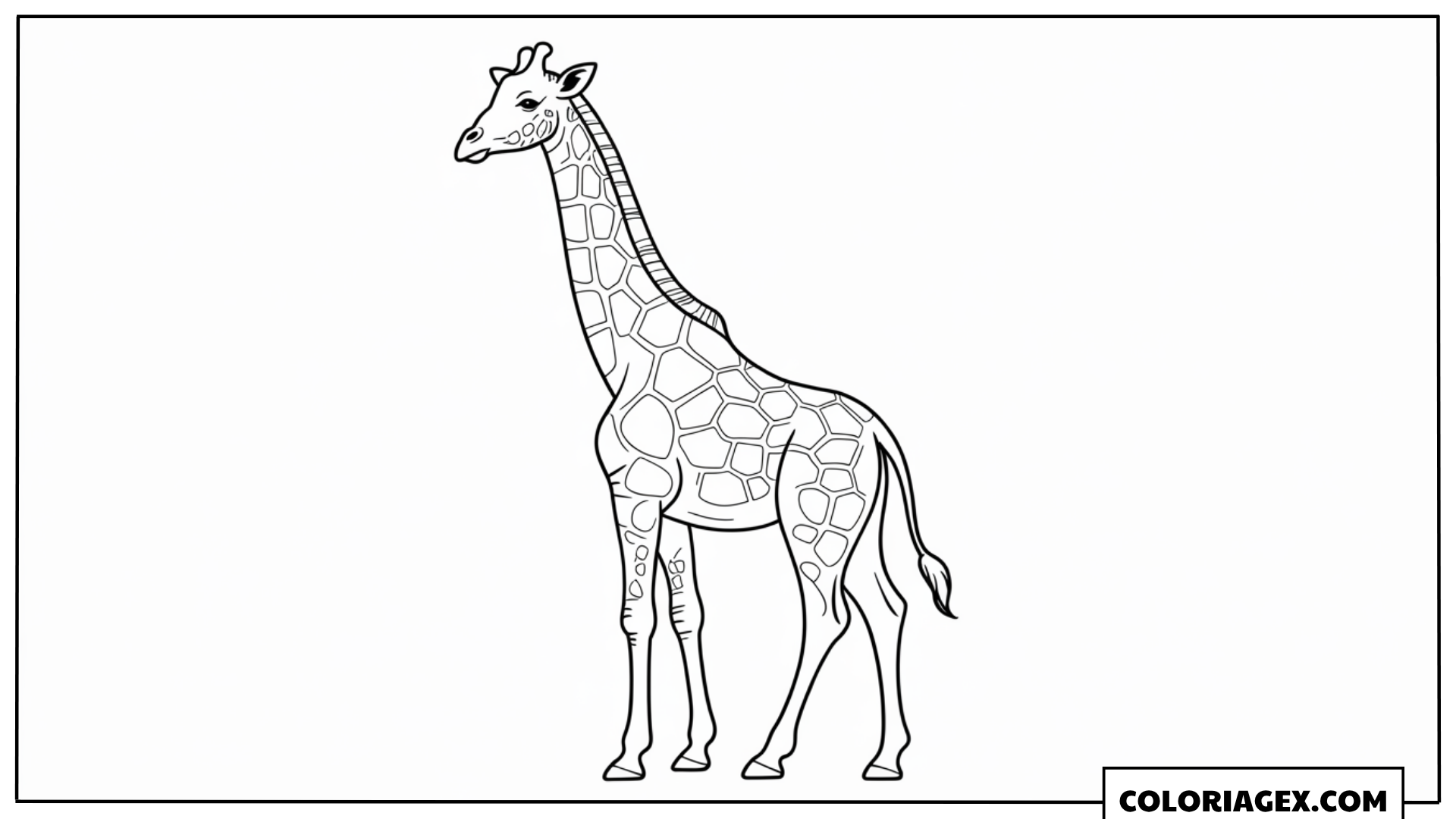 Coloriage Girafe debout réaliste