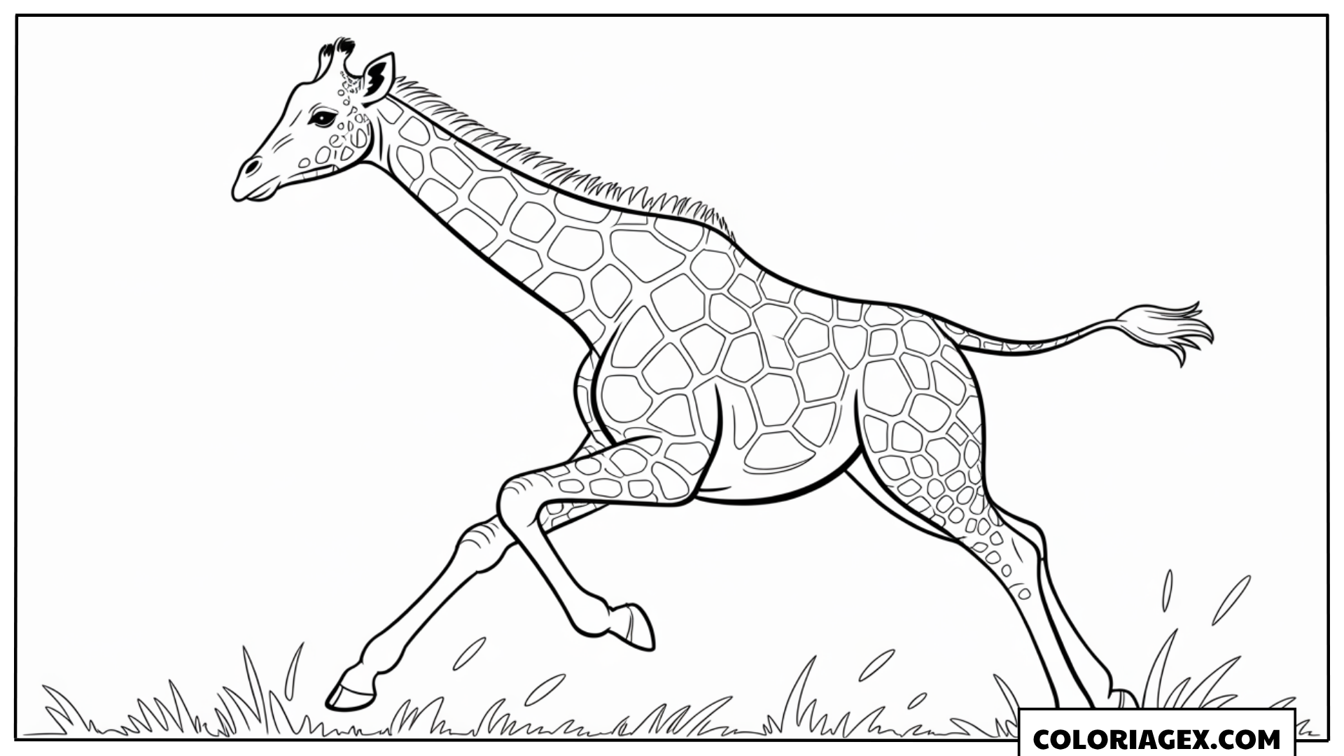 Coloriage Girafe en train de courir