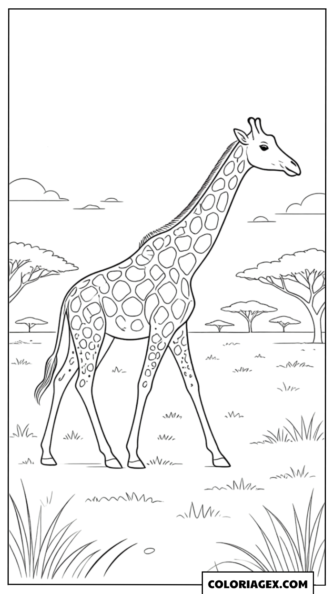 Coloriage Girafe marchant dans la savane