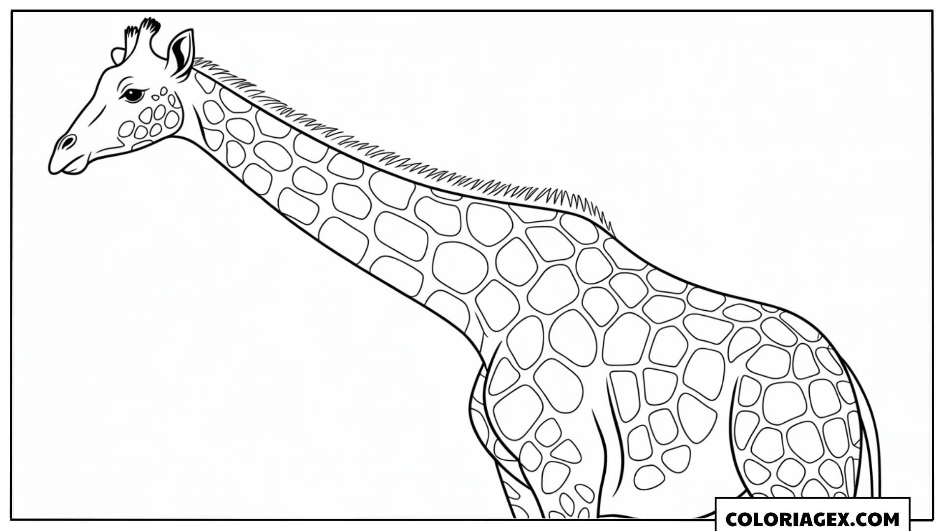 Coloriage Girafe réaliste de profil