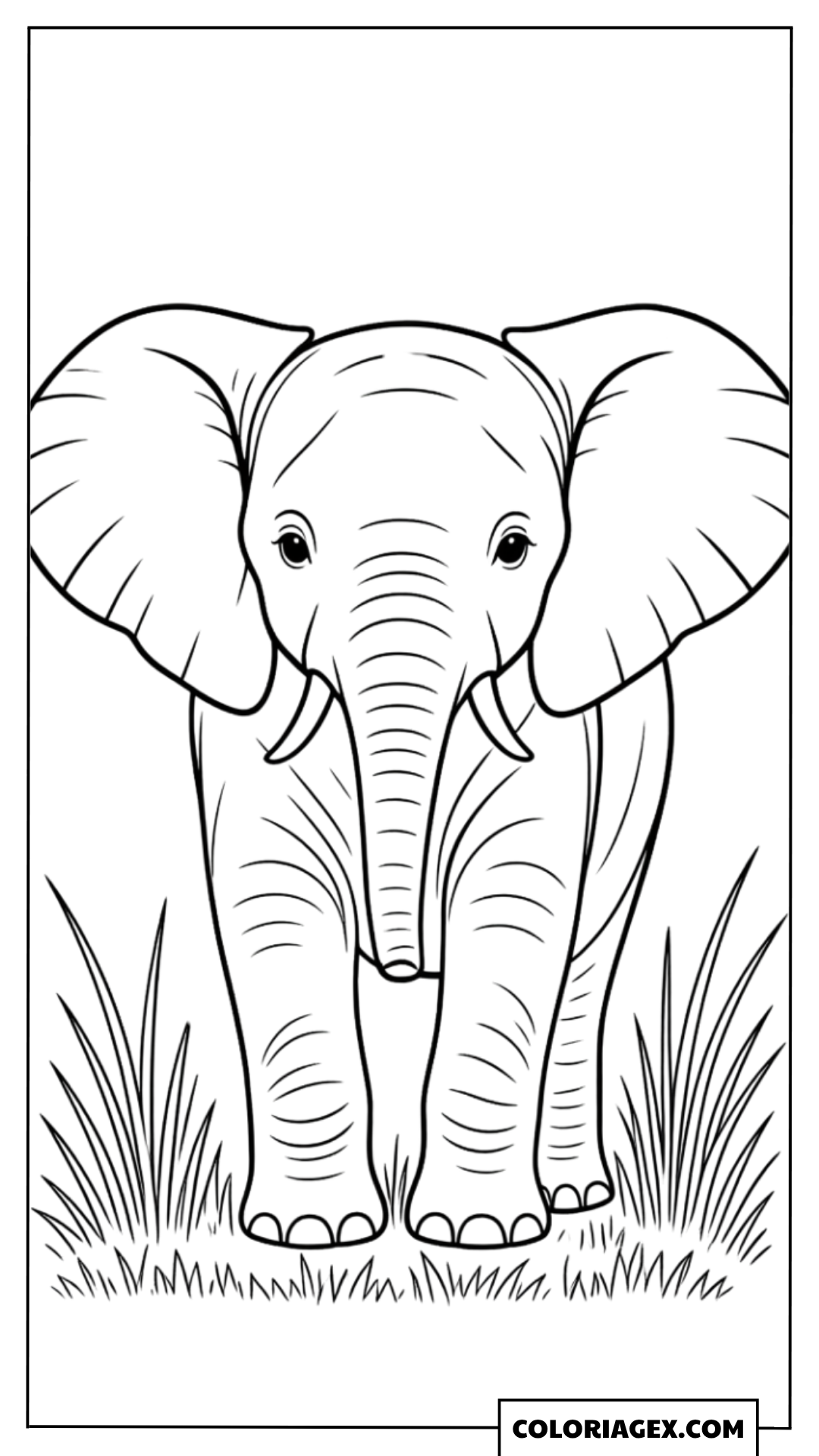 Coloriage Grand éléphant herbe